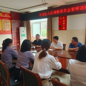 石龙区巾帼志愿者入驻“黎辉调解工作室” 妇联引领显担当 赋能婚姻家庭和谐