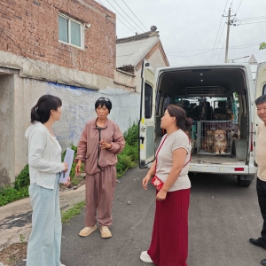 巾帼调解化纠纷 温情治理护和谐